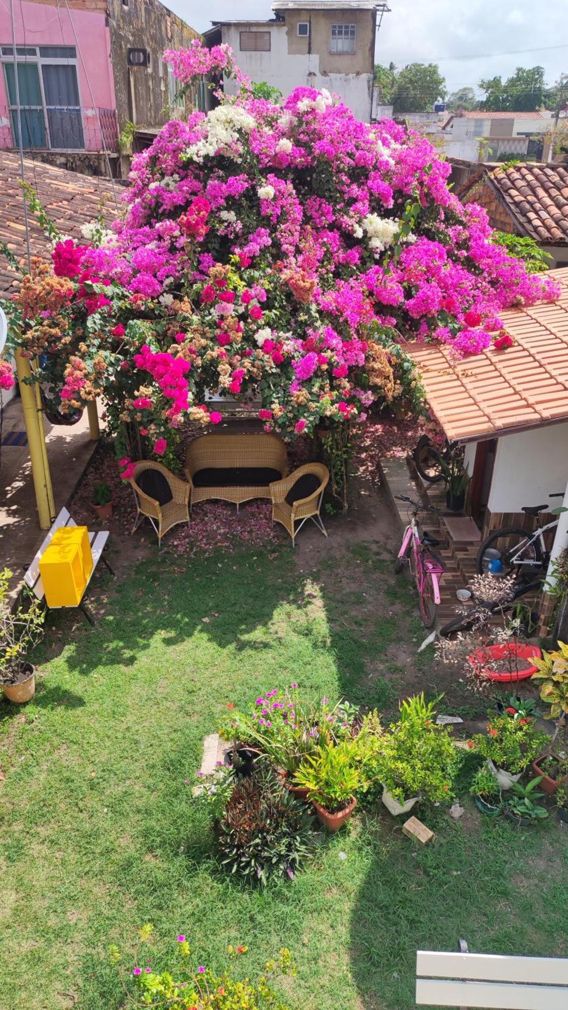 Pousada Solar Encanto Do Marajo Soure Exteriér fotografie