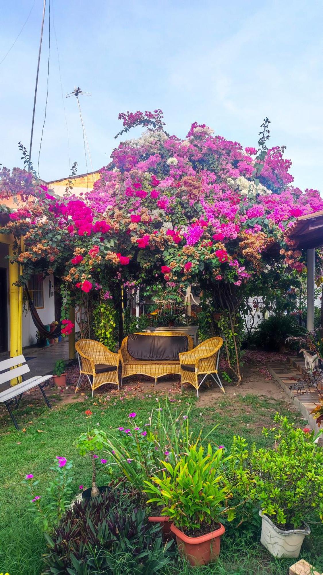 Pousada Solar Encanto Do Marajo Soure Exteriér fotografie